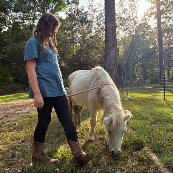 Meet your Posher, Peaches - Picture 1 of 1